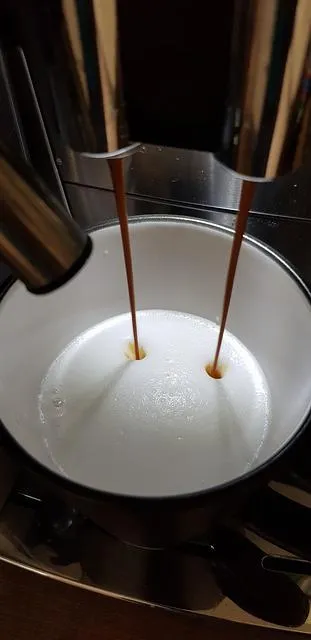 Funkcja spieniania mleka jest ważna dla wszystkich, którzy lubią kawę z mlekiem.